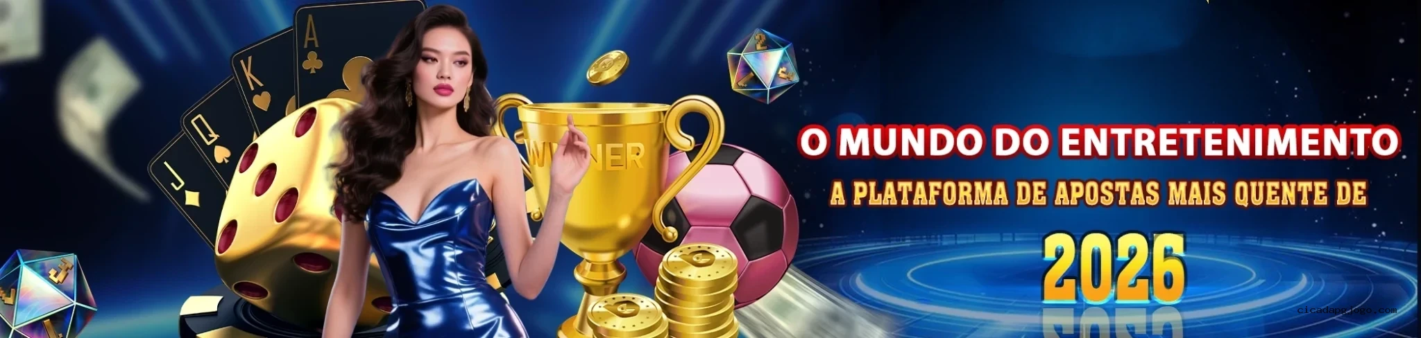 Termos de Serviço Cicadapg